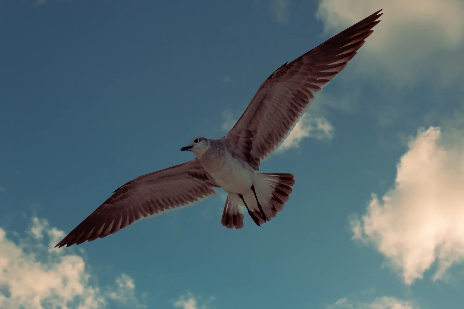 nature photography by JRMGraphy